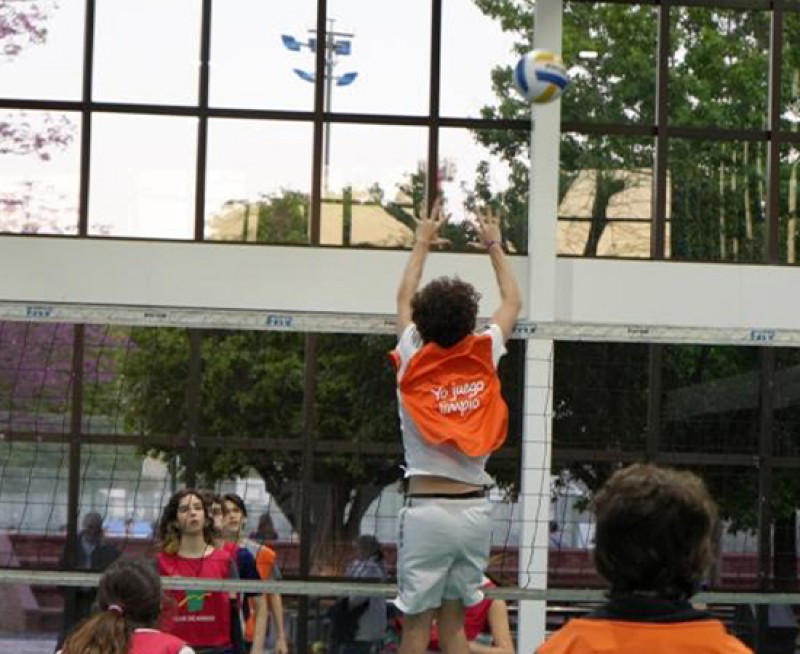 VOLEIBOL